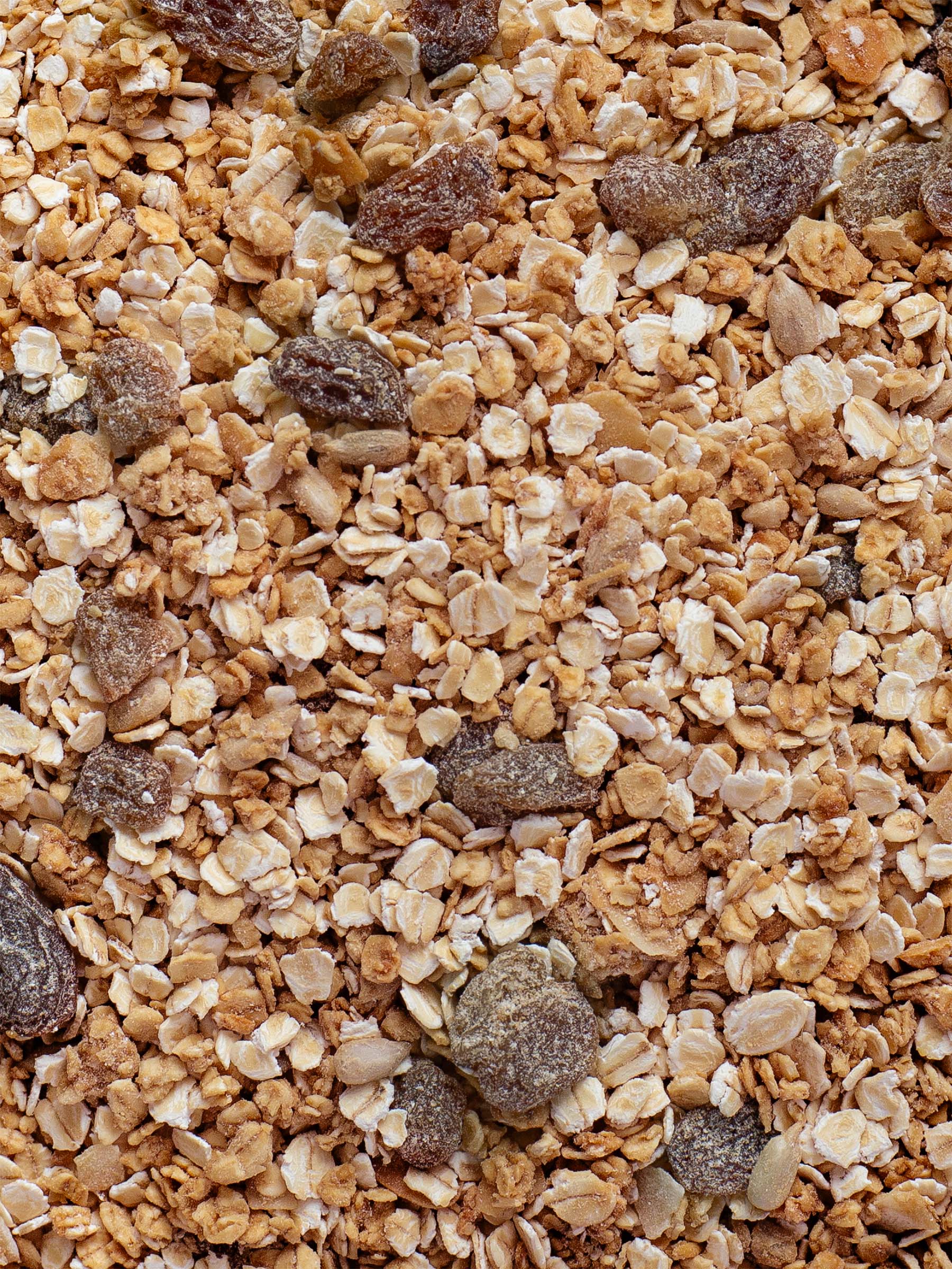 Landmüsli als Detailansicht. Zu erkennen sind Rosinen, Haferflocken und Crunch, was als fertig gemischtes Land Müsli fotografiert ist.