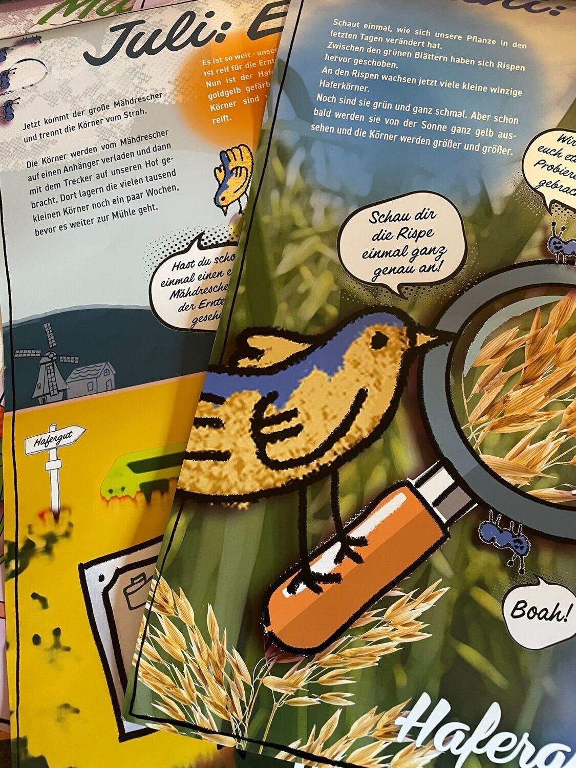 Hafer Kids Lernbox