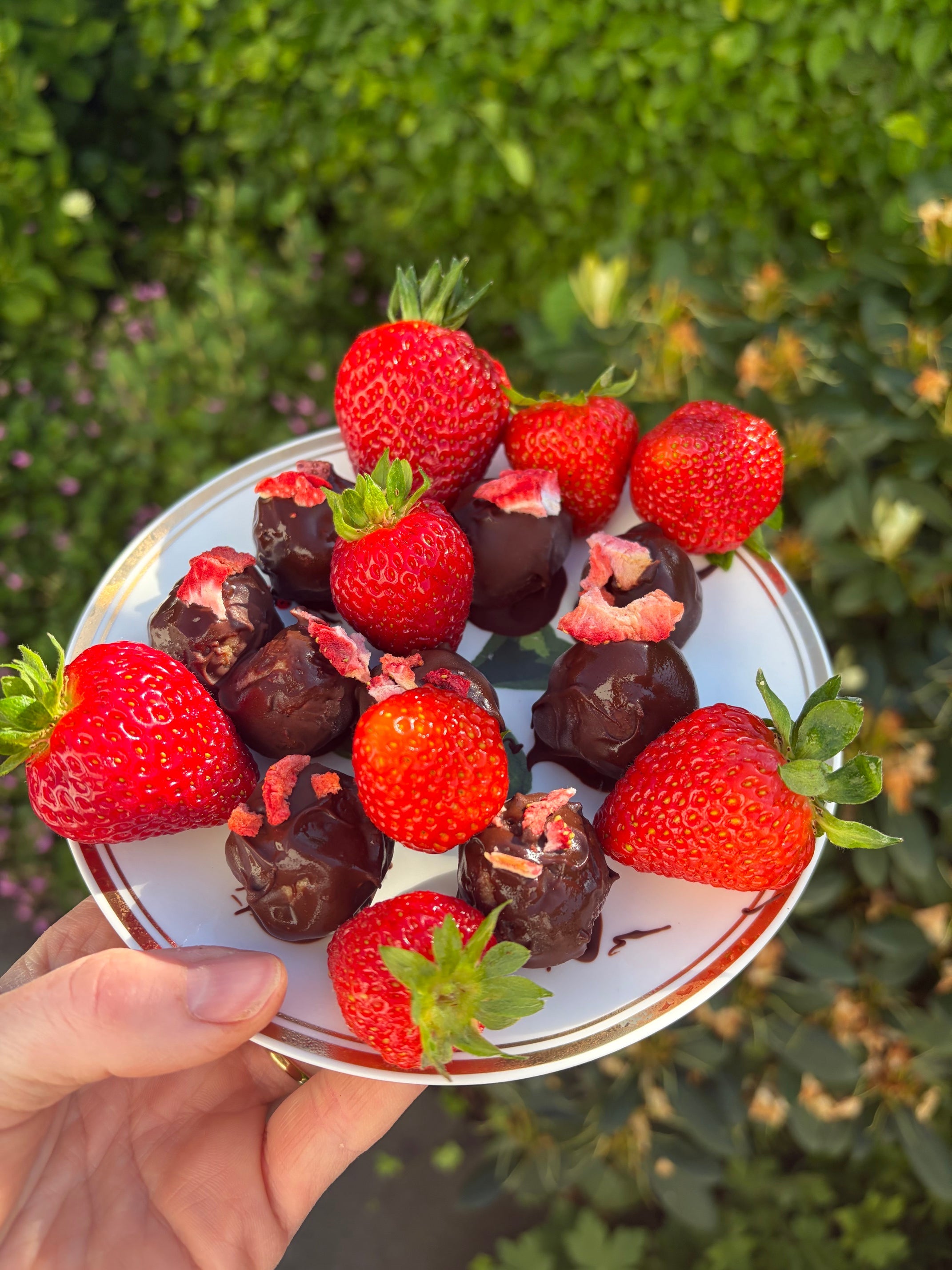 Sommerliche Energie Balls mit Erdbeeren